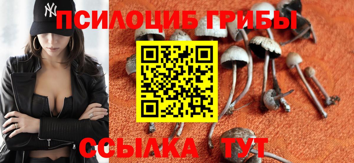 Псилоцибиновые грибы Cubensis Трёхгорный