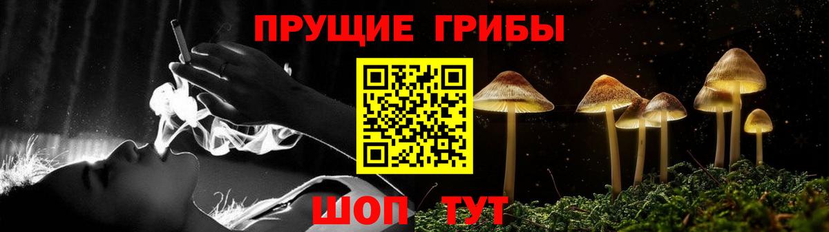 Псилоцибиновые грибы прущие грибы  Псилоцибиновые грибы мухоморы  Вход с VPN  Трёхгорный 